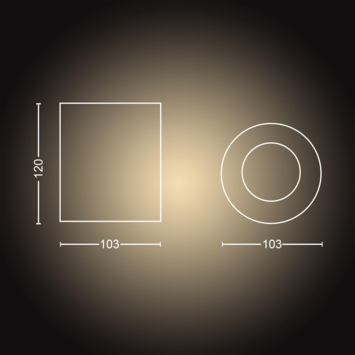 Philips Hue Pillar opbouwspot 1x5W wit incl. switch en bluetooth