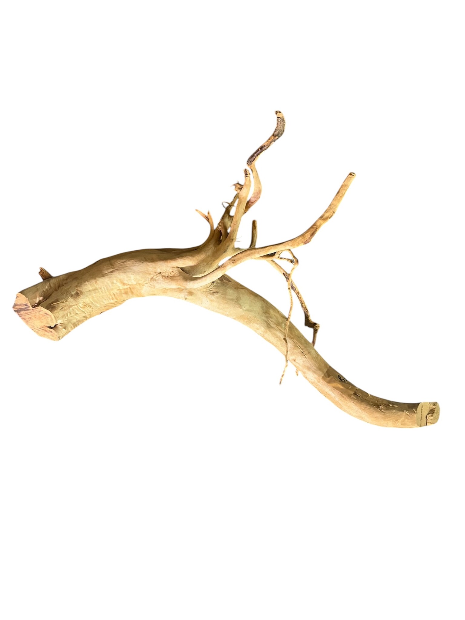 AquastoreXLBoomstronk XXL 50 - 80 cm 1,35kg - NR20 | natuurlijk hout