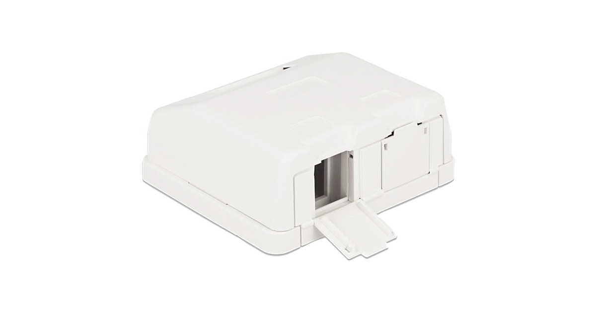 DeLOCKKeystone Surface Mounted Box 2 Port behuizing  (Wit)