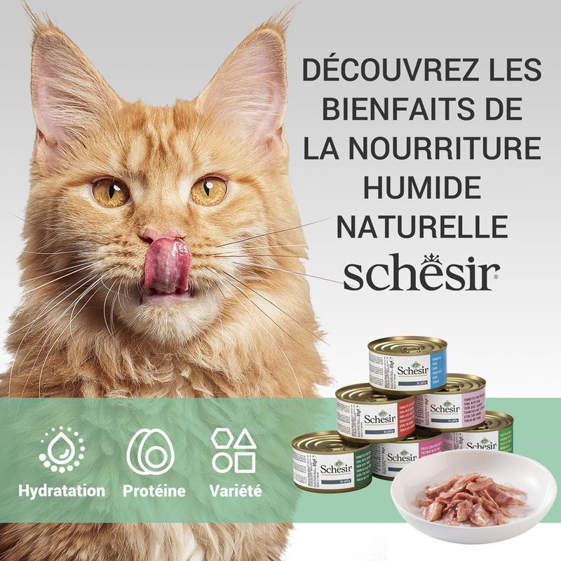 Lot mixte Schesir en gelée 6 x 85 g