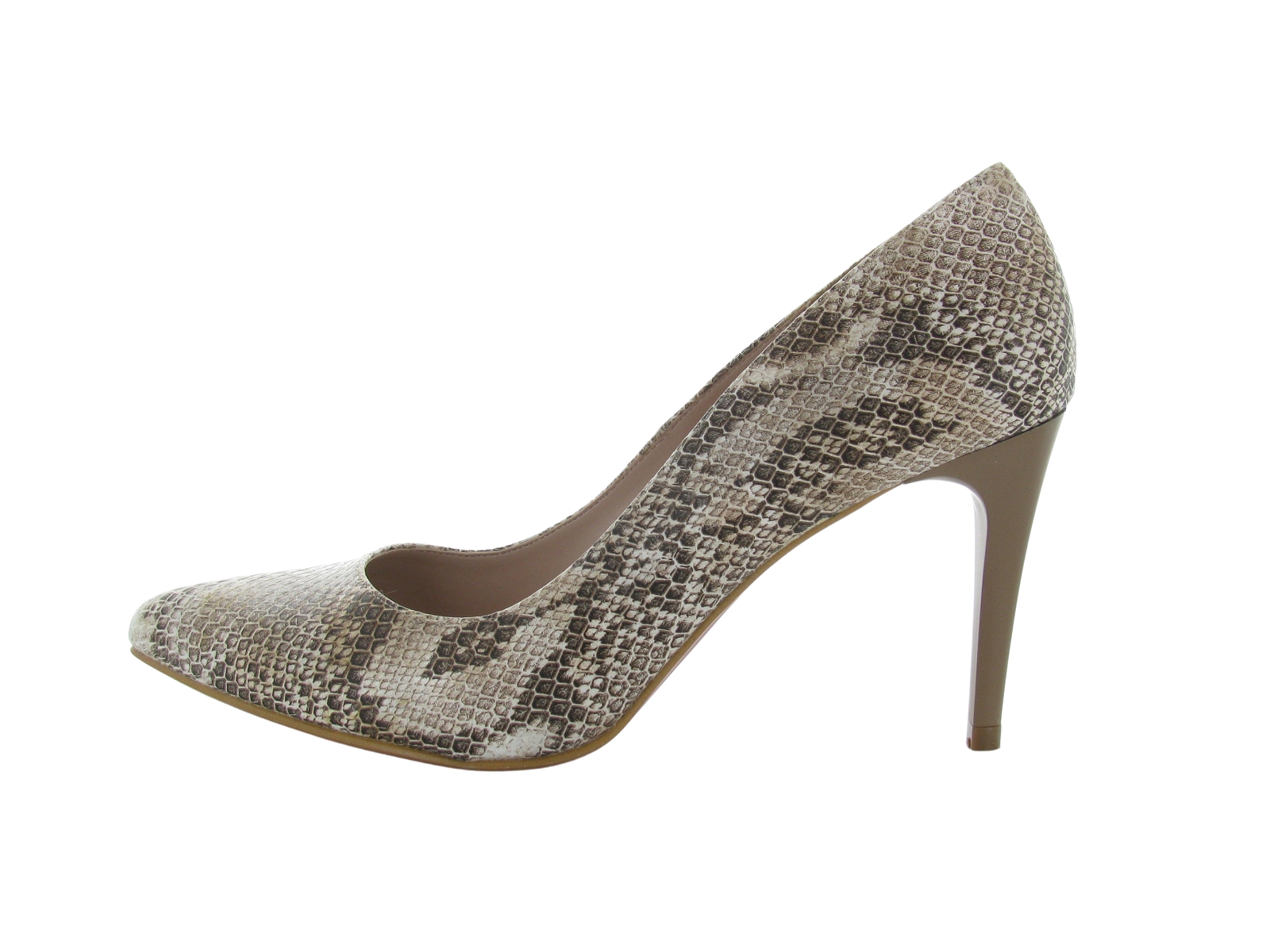 Giulia-REGINE Synthétique Python