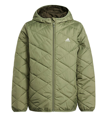 adidas Performance Steppjacke - Grün