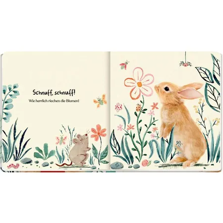 Coppenrath Verlag Meine erste Tierbaby-Geschichte: Kleines Kaninchen