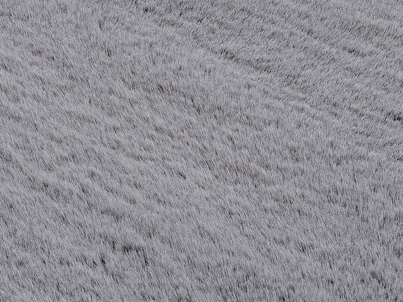 OCI Fellteppich ALISSA