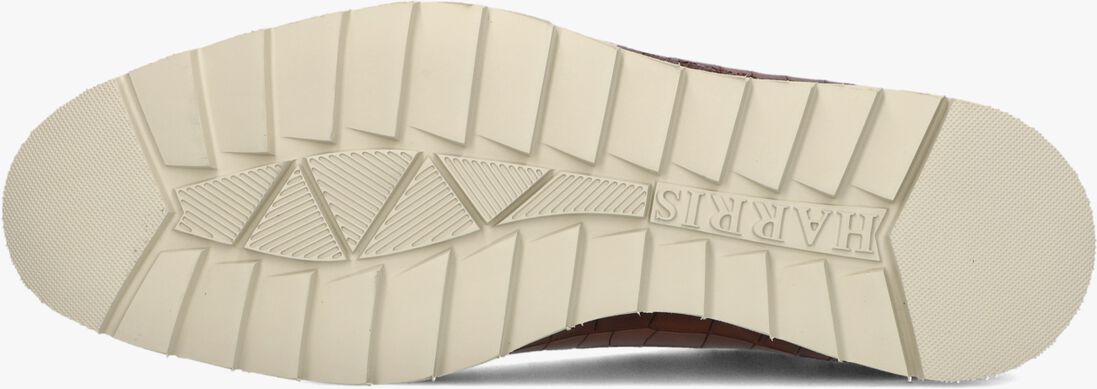 bruine harris lage sneakers 2892