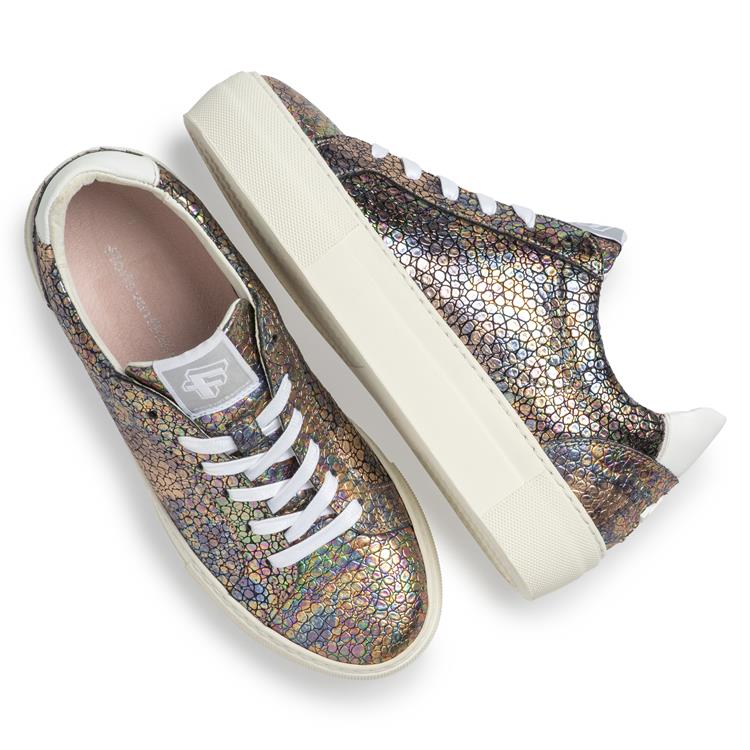 Floris van Bommel SFW-10059 multi