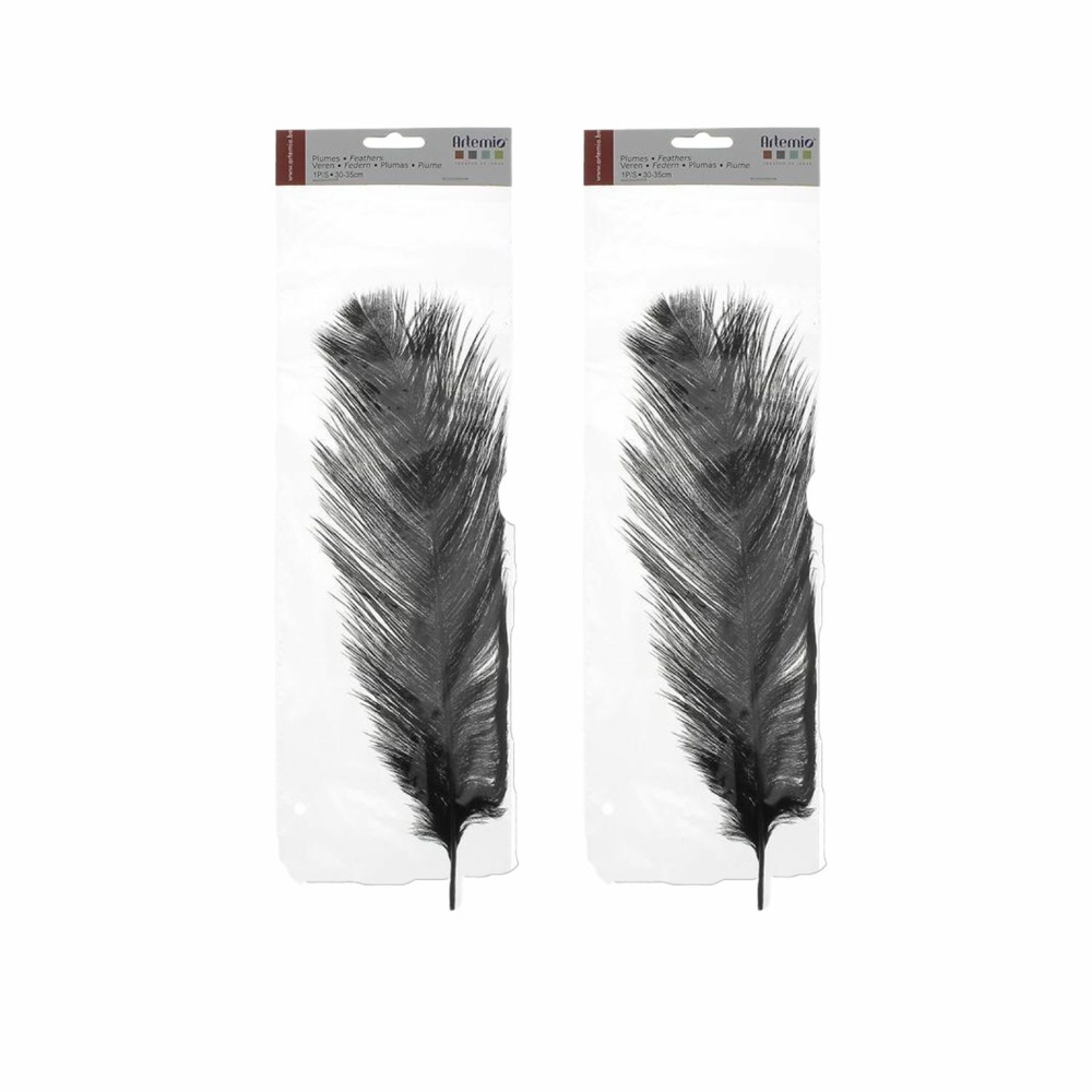 2 plumes d'autruche noires