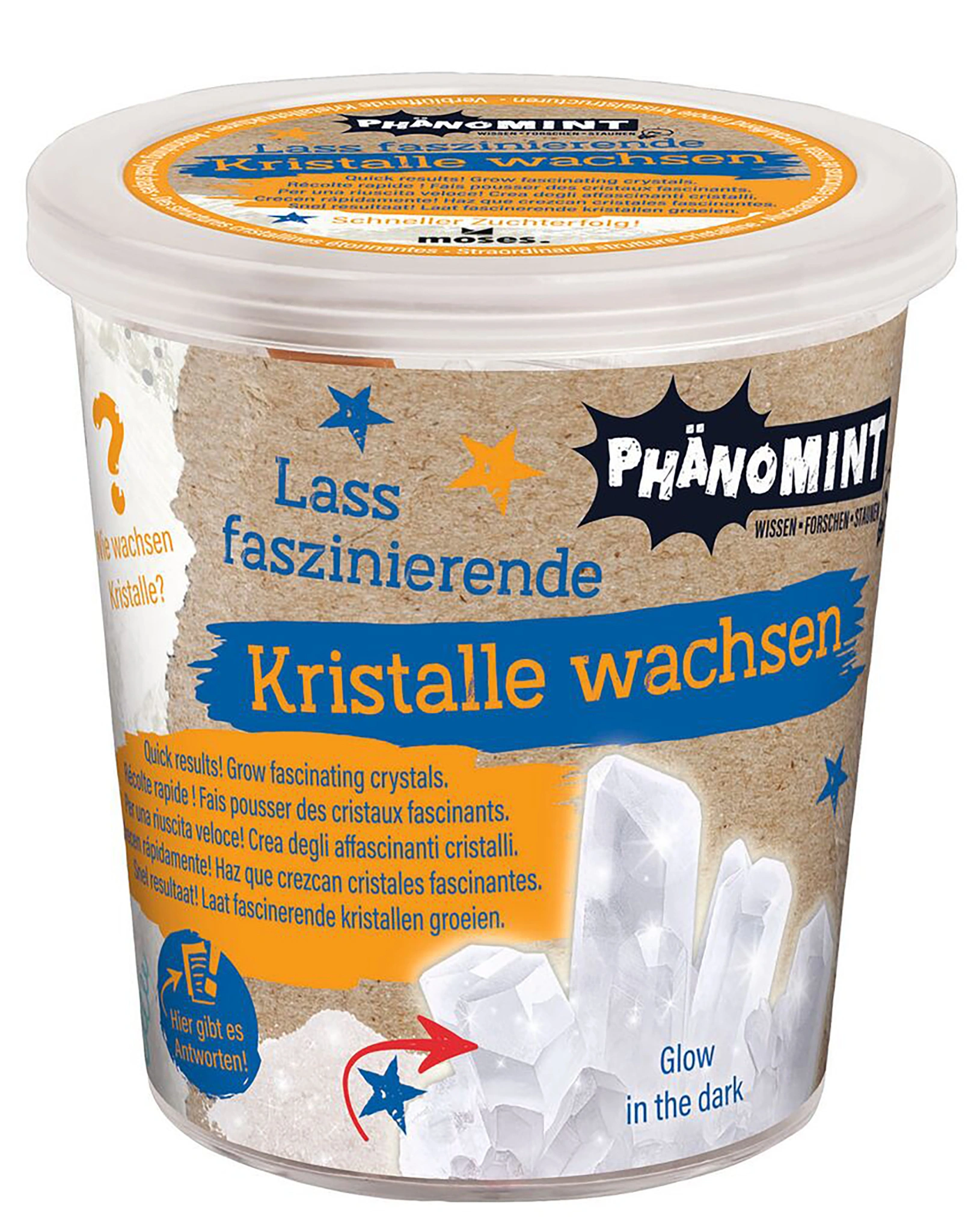 Experimentier-Set PHÄNOMINT - KRISTALLE ZÜCHTEN