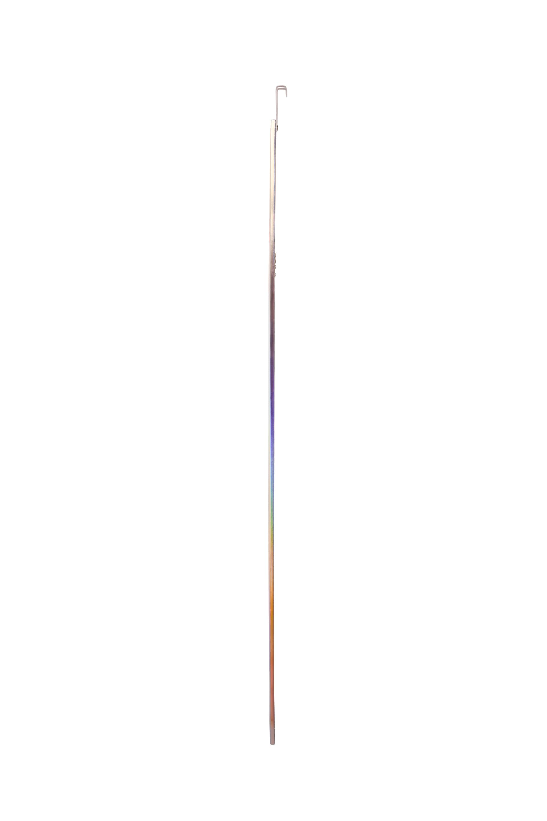 Türhängespiegel RIA 30 x 120 cm mehrfarbig