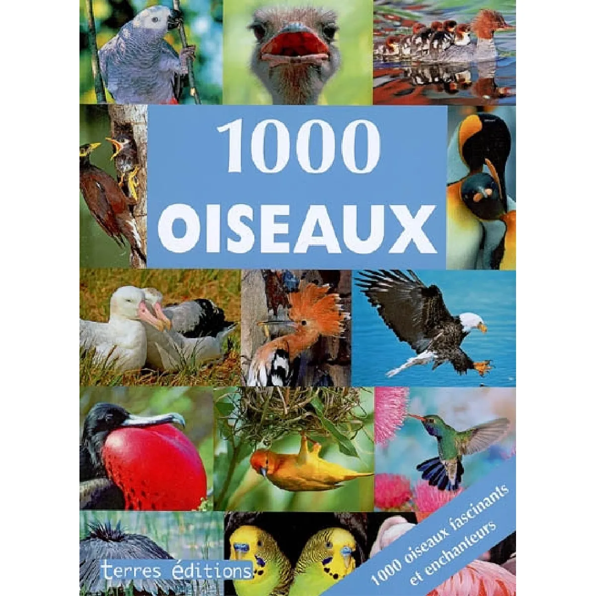1.000 oiseaux · Occasion