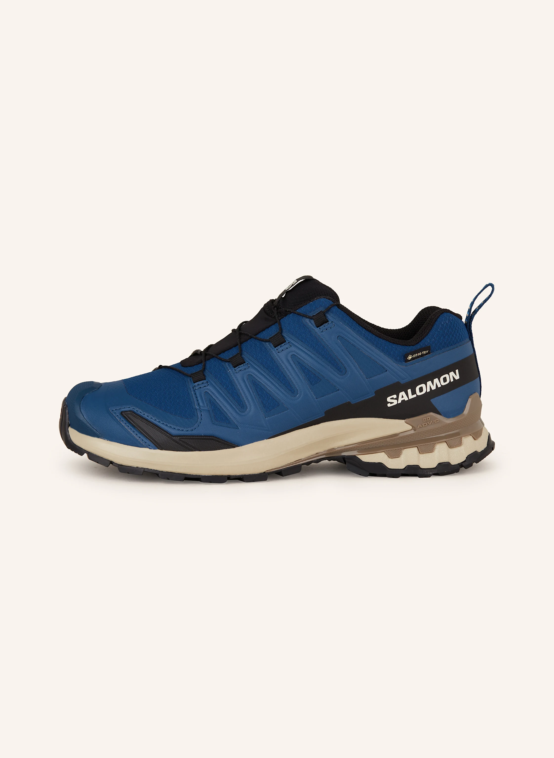 SALOMON Wanderschuhe XA PRO 3D V9 GTX