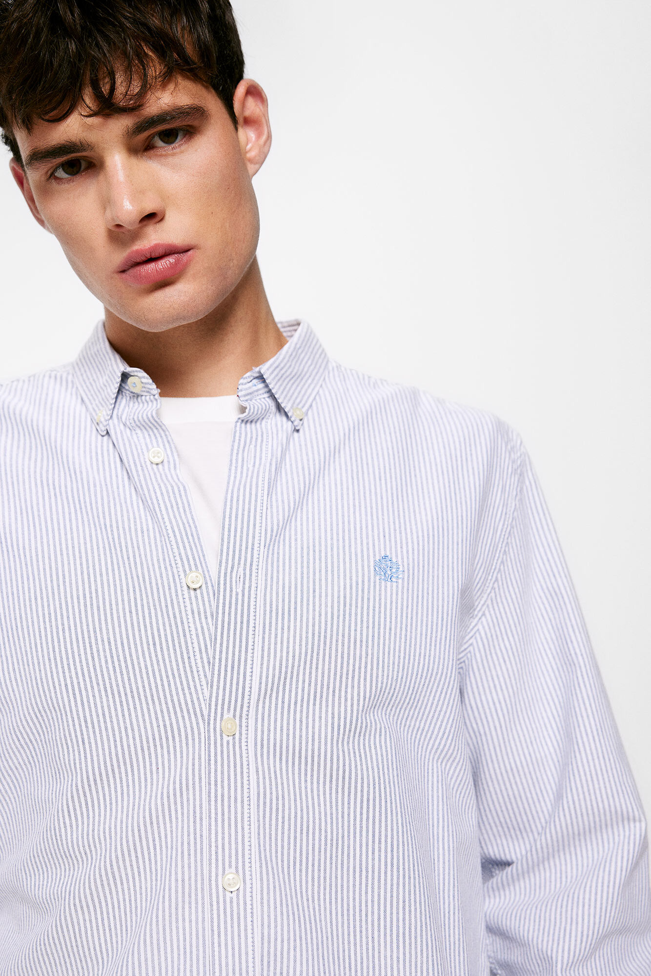 camisa polo oxford listrada