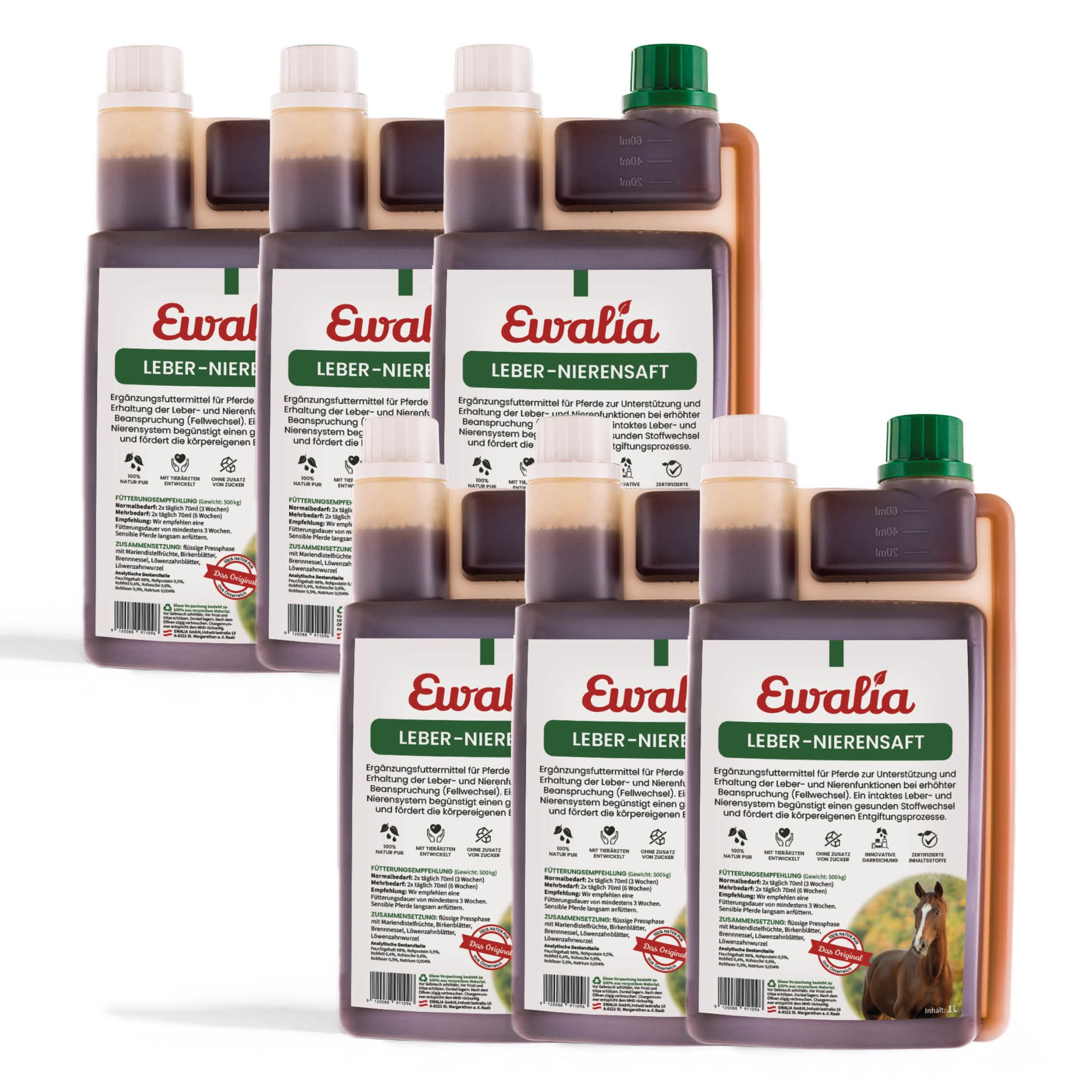 EWALIA Leber-Nierensaft für Pferde Sechserpack