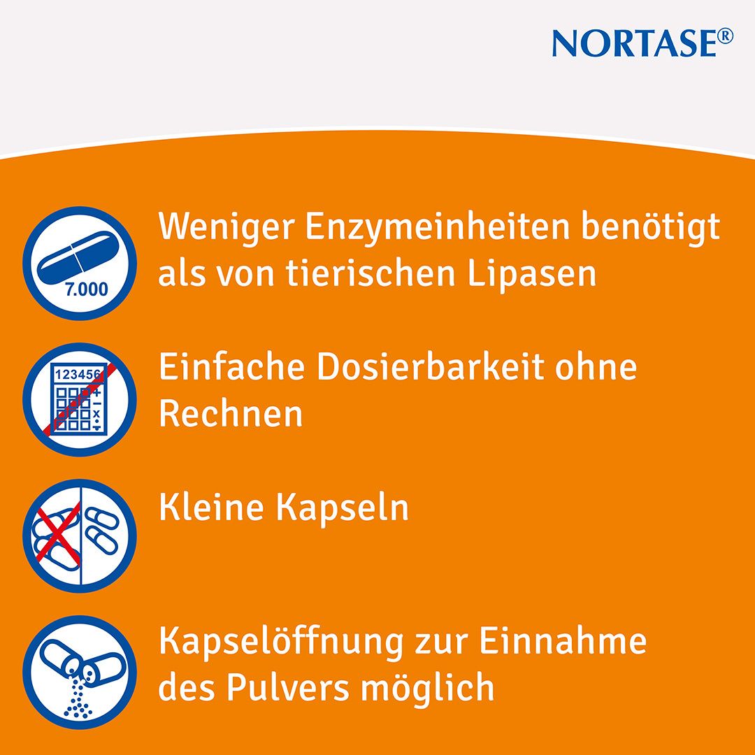 Nortase® Kapseln