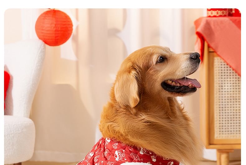 2 nachten - Chinees Nieuwjaar Print Pet Top