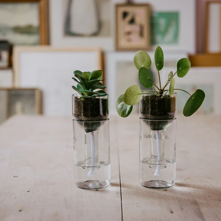 side by side - Self Watering Bottle Blumentopf, klarglas