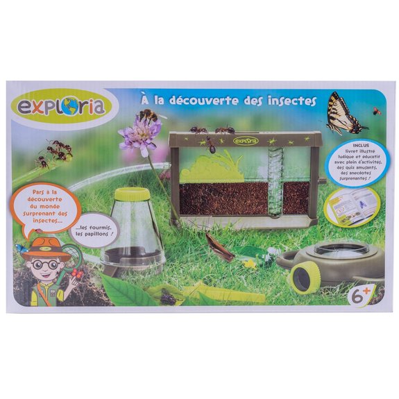 A la découverte des insectes