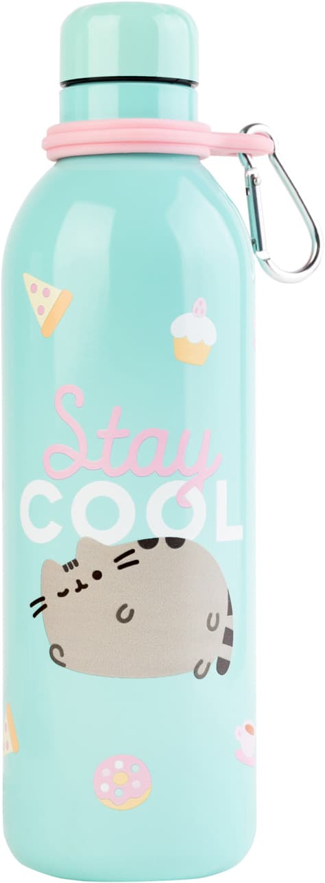 Grupo Erik Pusheen 500 ml flaske (Foodie)