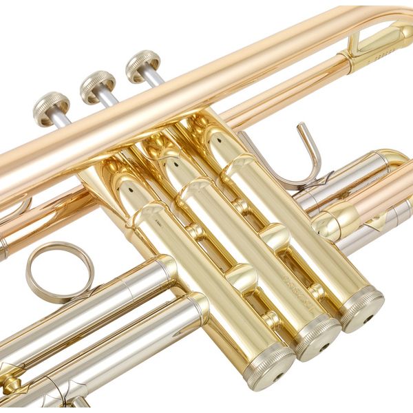 B&S 3137G-L Challenger I GM