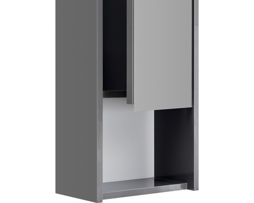 Pelipal xpressline 3261 grijze wandkast met glazen front BxHxD 30 x 70 x 16 cm