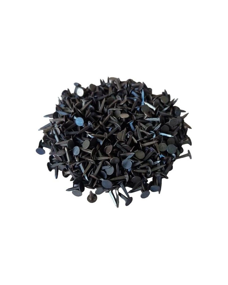 500gr de semences pour montage des toiles