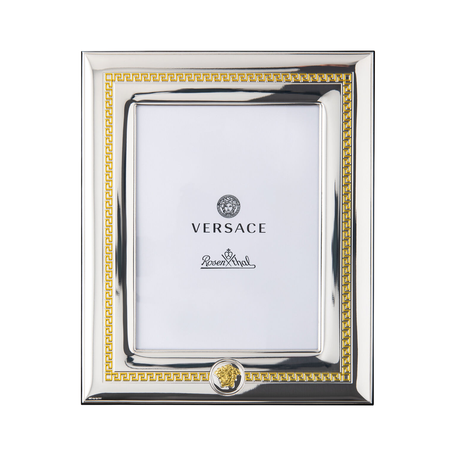Versace Frames VHF6 - Silver/Gold Bilderrahmen 15 x 20 cm