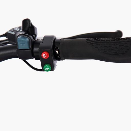 Skateflash Urban Fat Ebike