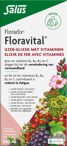 Salus Floradix Floravital Complément Alimentaire À Base De Fer Flacon 500ml