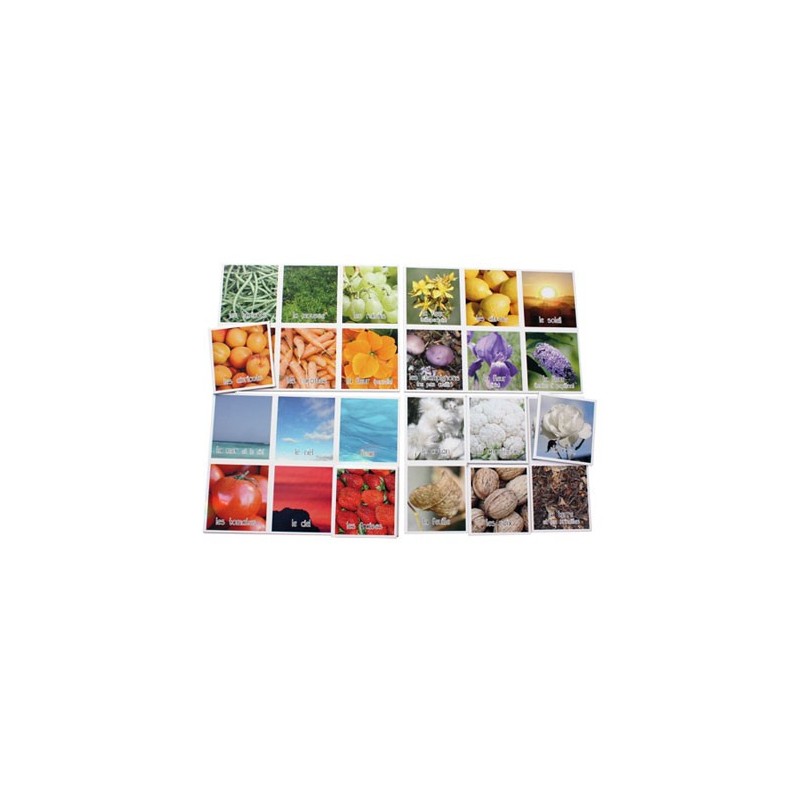 Loto - Les couleurs