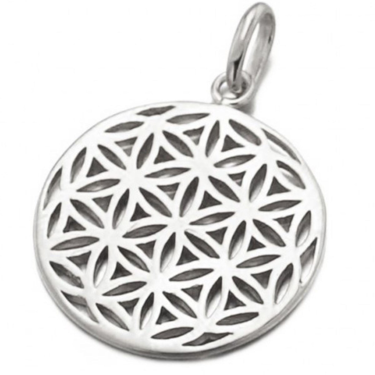 Pendentif médaille ronde fleur de vie en argent + chaine