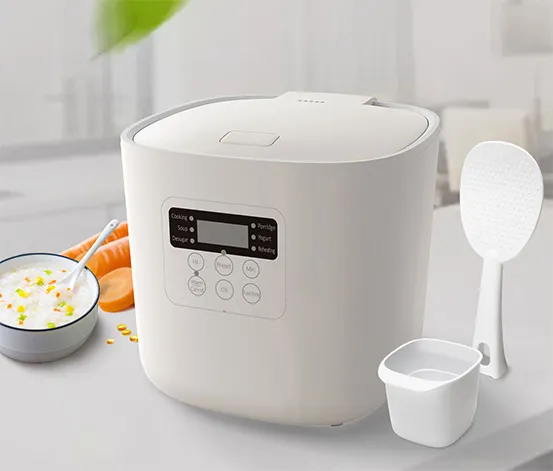 Low Carb Reiskocher »RC100F16 D02«