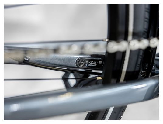 Vélo de Ville Trek Verve 1 Equipped Shimano Tourney/Altus 8V Gris