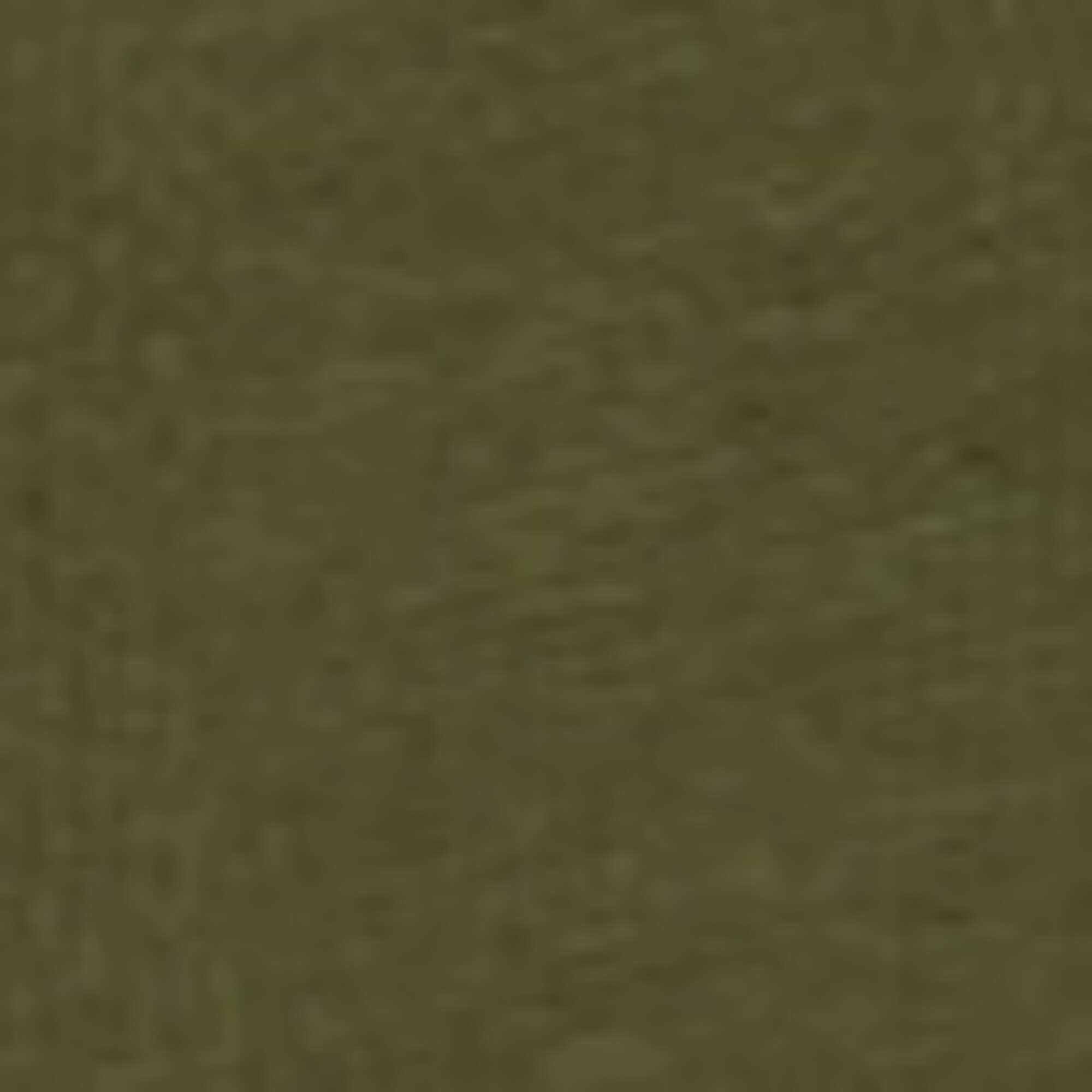 Poloshirt regular aus schwerem Bio-Baumwoll-Jersey