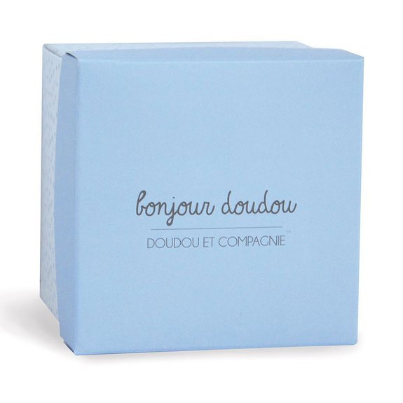 Lapin boite fleur ciel