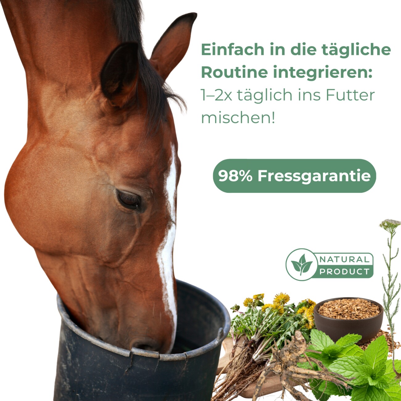 Hand aufs Pferd/Hund Huf Kräuter für Pferde 