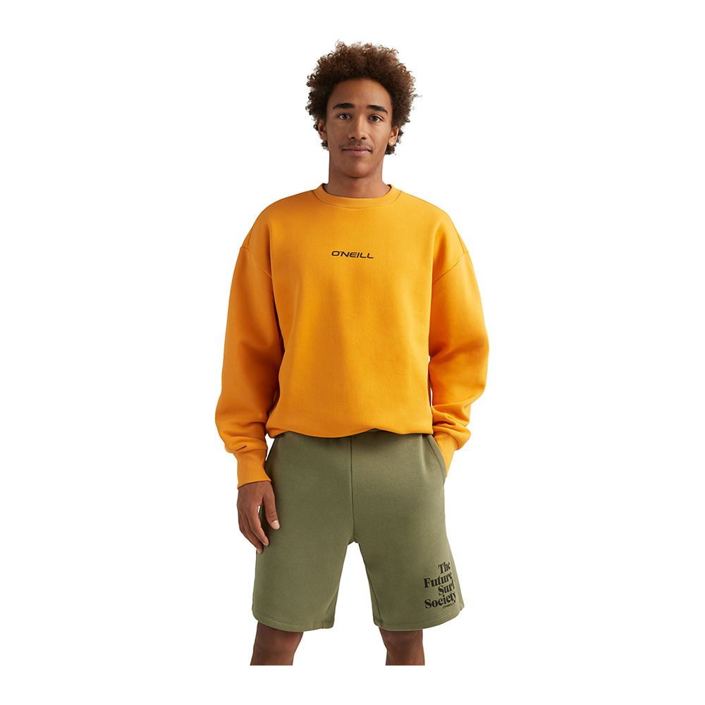 O'Neill FUTURE SURF - Short Homme deep lichen green