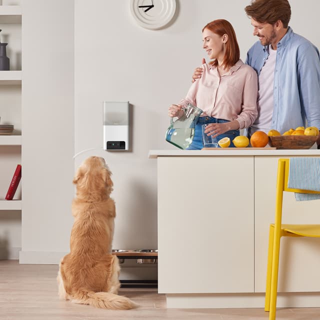 Petcube Bites 2 Lite