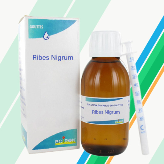 Ribes Nigrum gouttes Boiron - Allergie, douleurs articulaires
