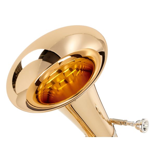 B&S 3033/2-L Tenor Horn