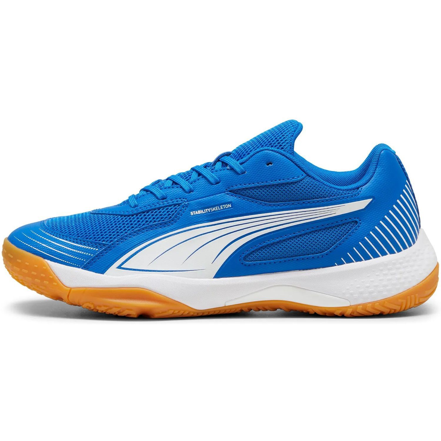PumaSolarflash III