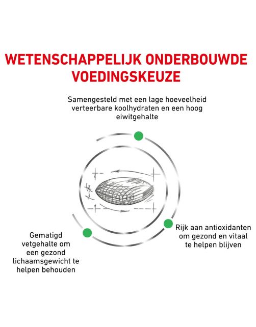 Royal Canin Veterinary Diet Diabetic - Kattenvoer