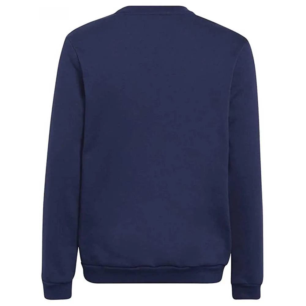 Moletom adidas Entrada 22 Stadium SW