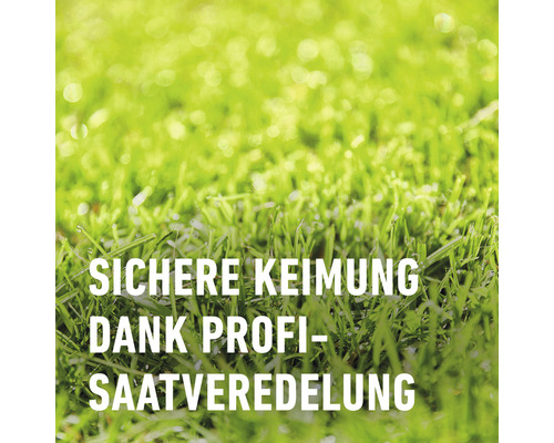 Doorzaai gazon COMPO SAAT® 2 kg 100 m²