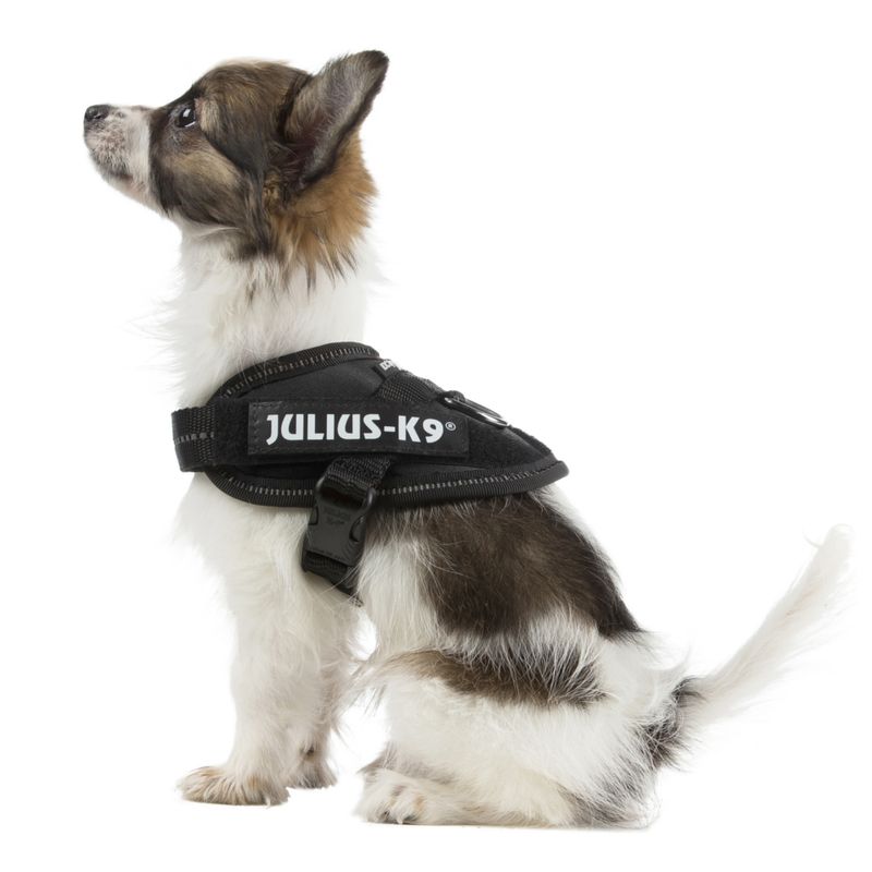 Harnais Julius-K9 IDC Power, noir
