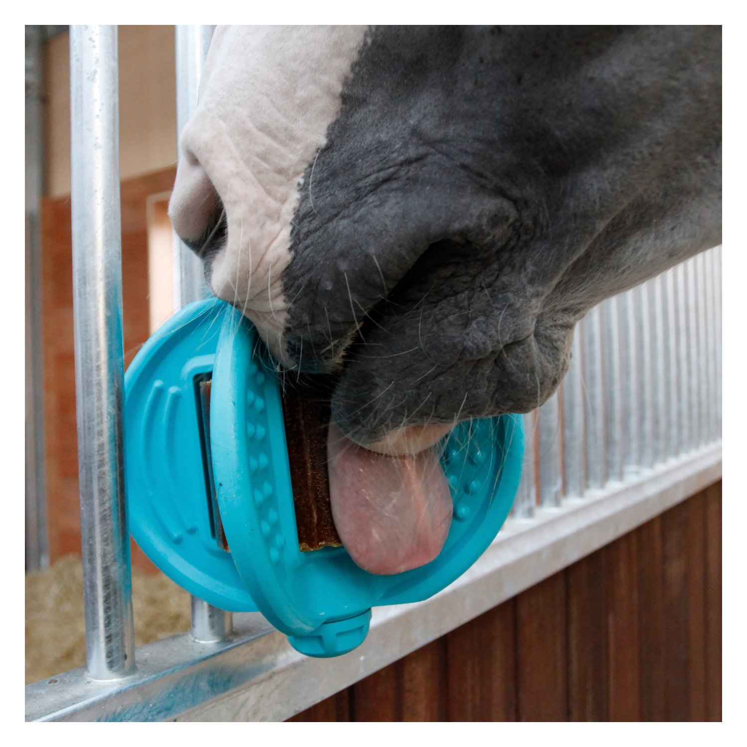 Bizzy HORSE Ball, für Pferde  - aquamarine