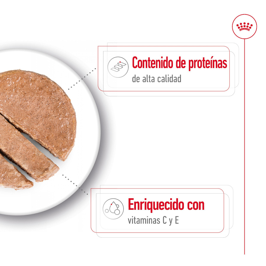 Patê Royal Canin para Cães Adultos de Porte Médio em Lata