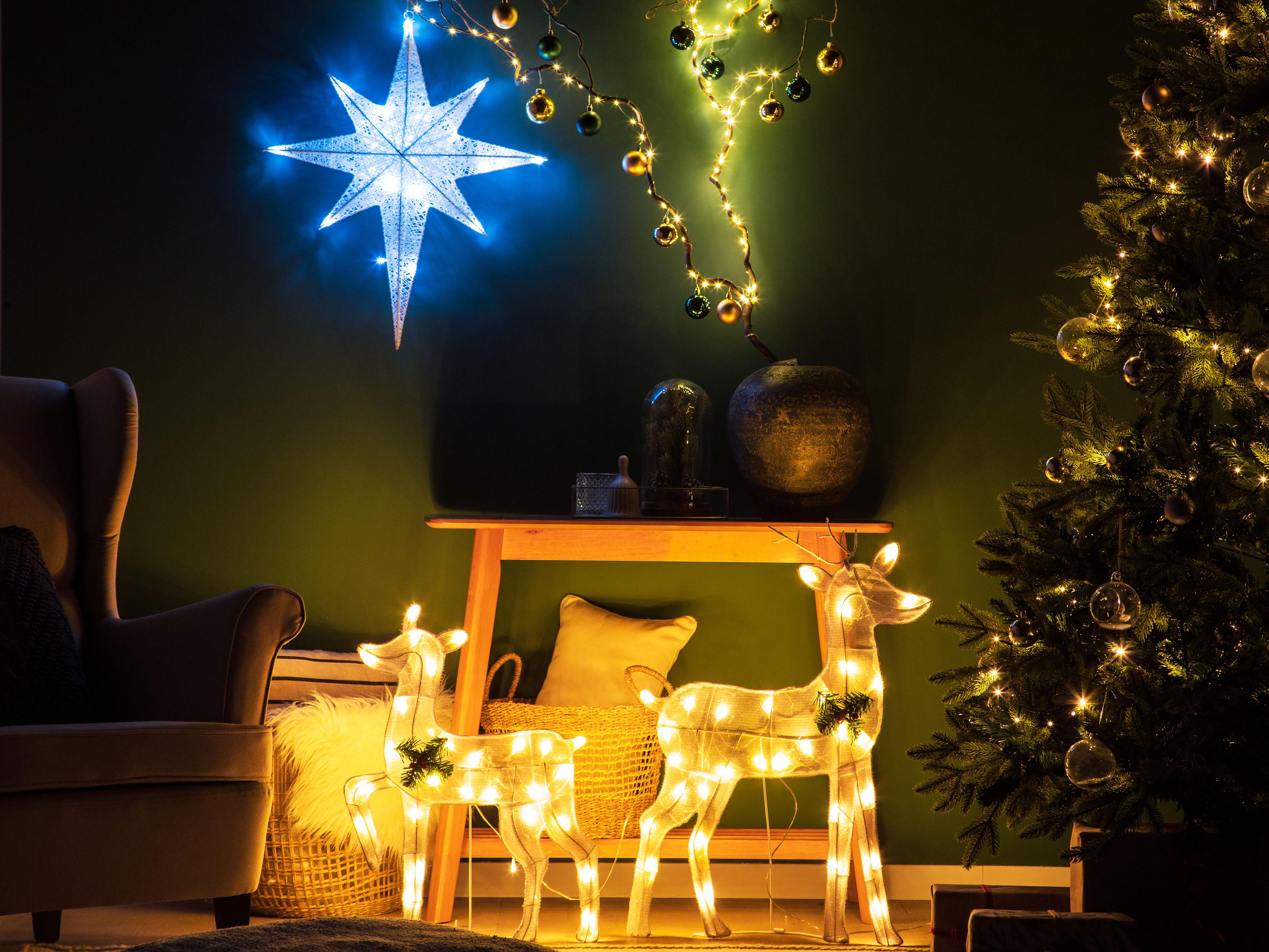 Hangende buitendecoratie LED OSMA Ster 67 cm Wit