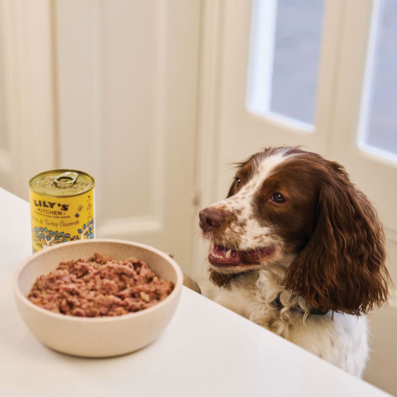 Lily's Kitchen Dinner 6 x 400 g pour chien