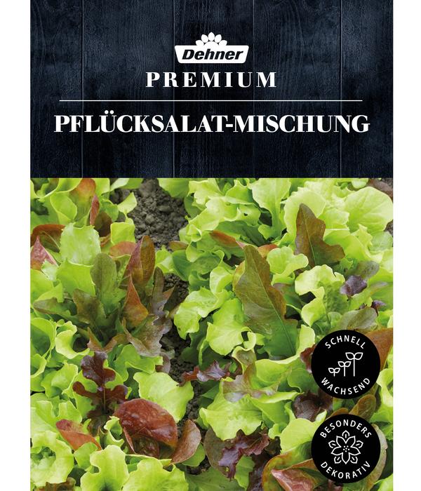 Dehner Premium Samen Pflücksalat Mischung