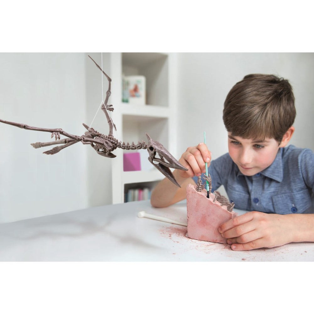 Køb 4M Udgrav Et Pteranodon-Skelet